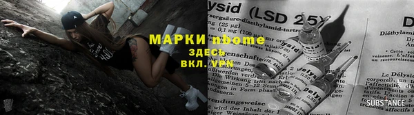ПСИЛОЦИБИНОВЫЕ ГРИБЫ Вязники