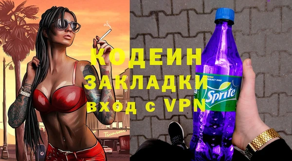 соль ск Вяземский