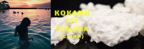 ПСИЛОЦИБИНОВЫЕ ГРИБЫ Вязники