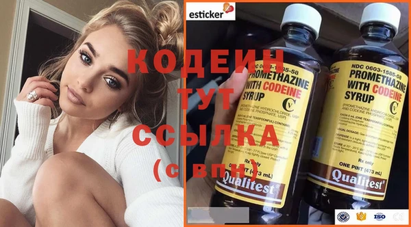 ПСИЛОЦИБИНОВЫЕ ГРИБЫ Вязники