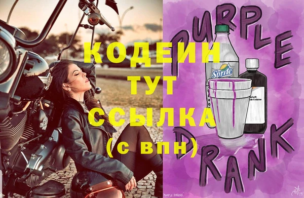соль ск Вяземский