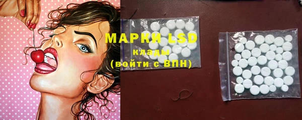 ПСИЛОЦИБИНОВЫЕ ГРИБЫ Вязники