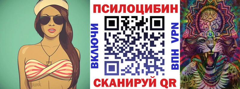наркотики  Каргат  Псилоцибиновые грибы мицелий 